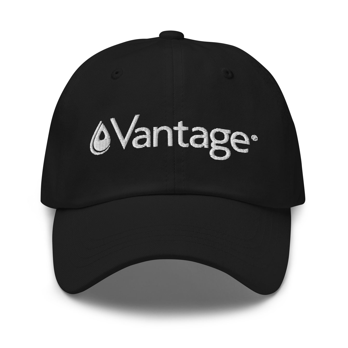 Classic Dad hat - Vantage Store