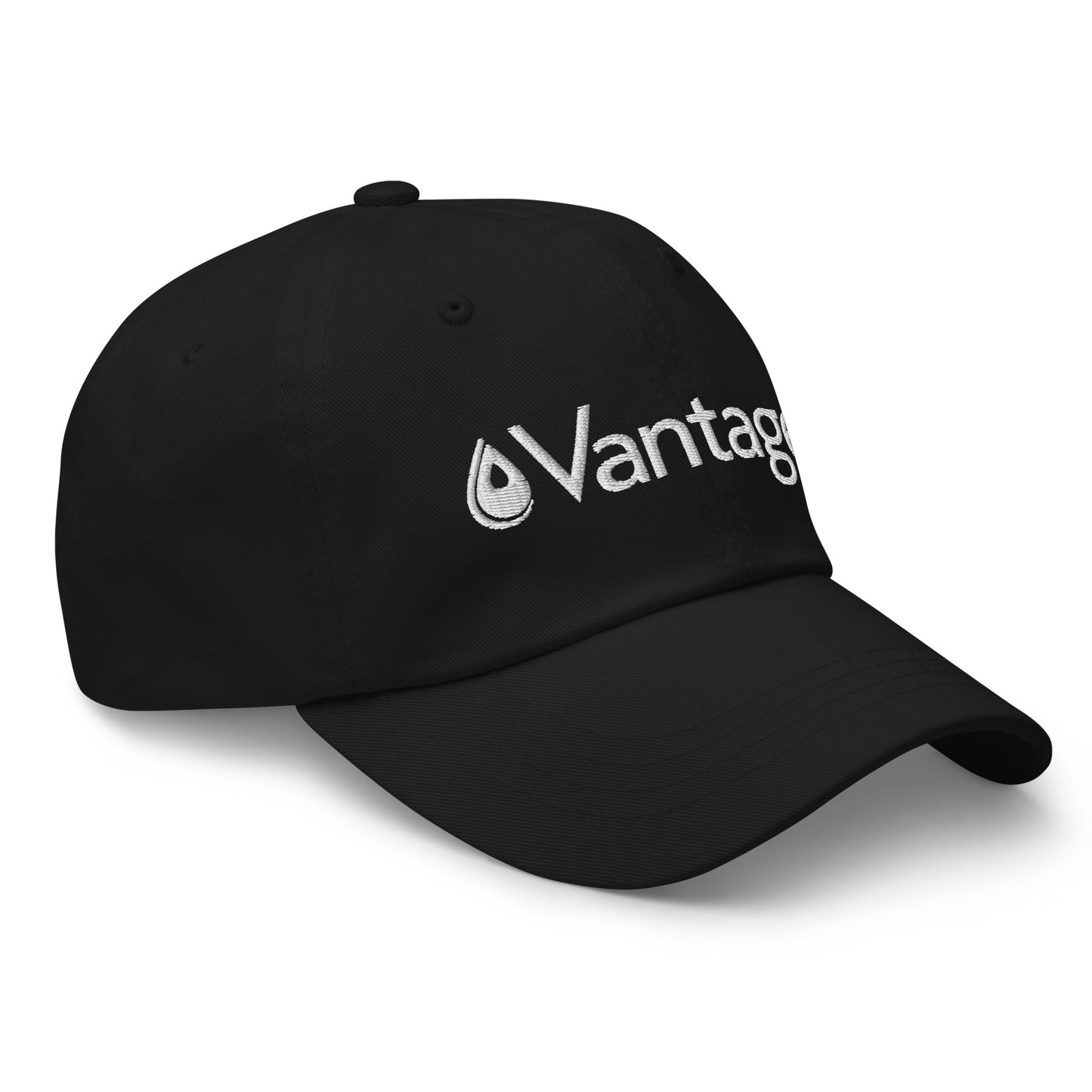 Classic Dad hat - Vantage Store