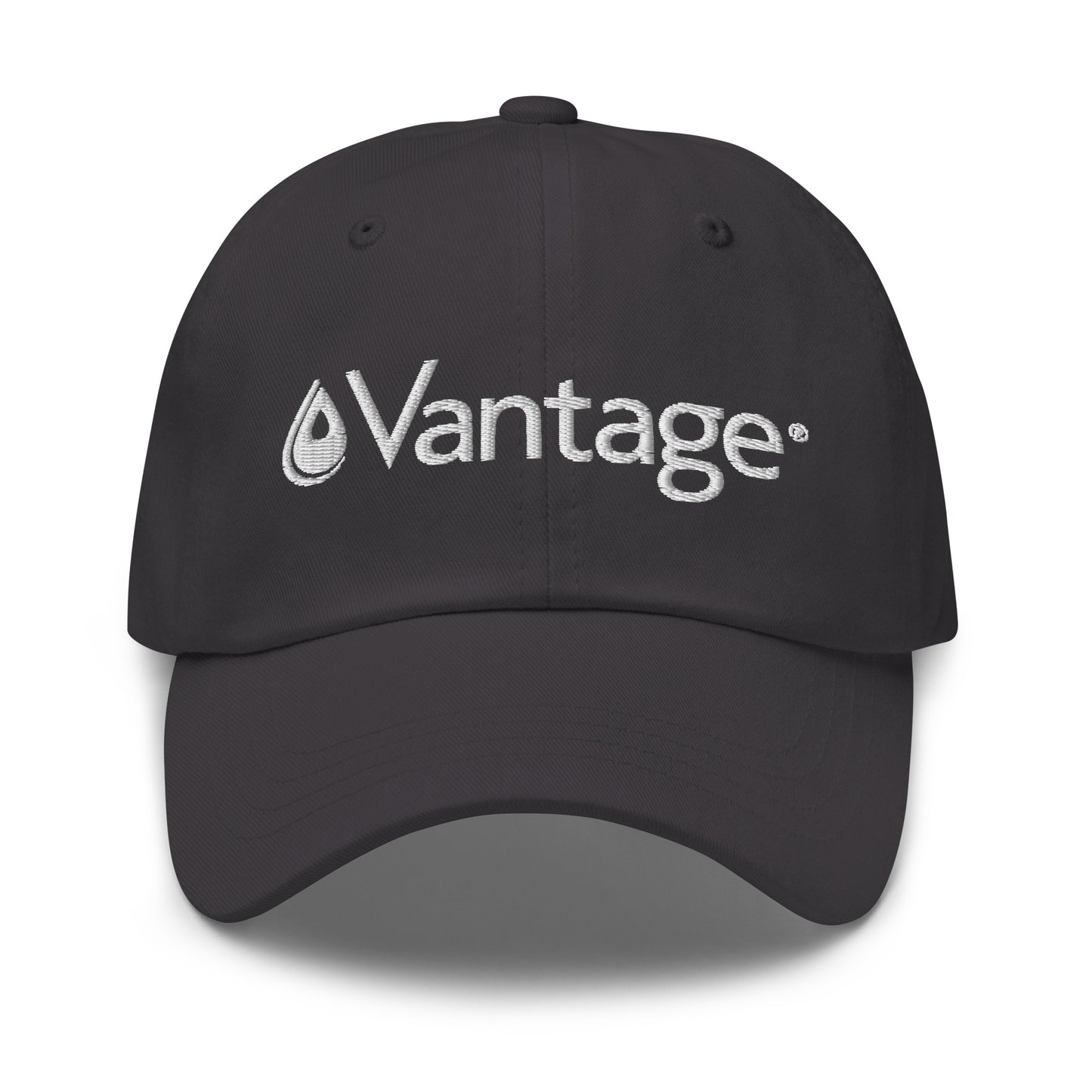 Classic Dad hat - Vantage Store