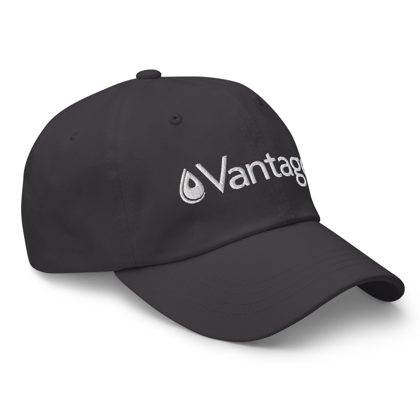 Classic Dad hat - Vantage Store