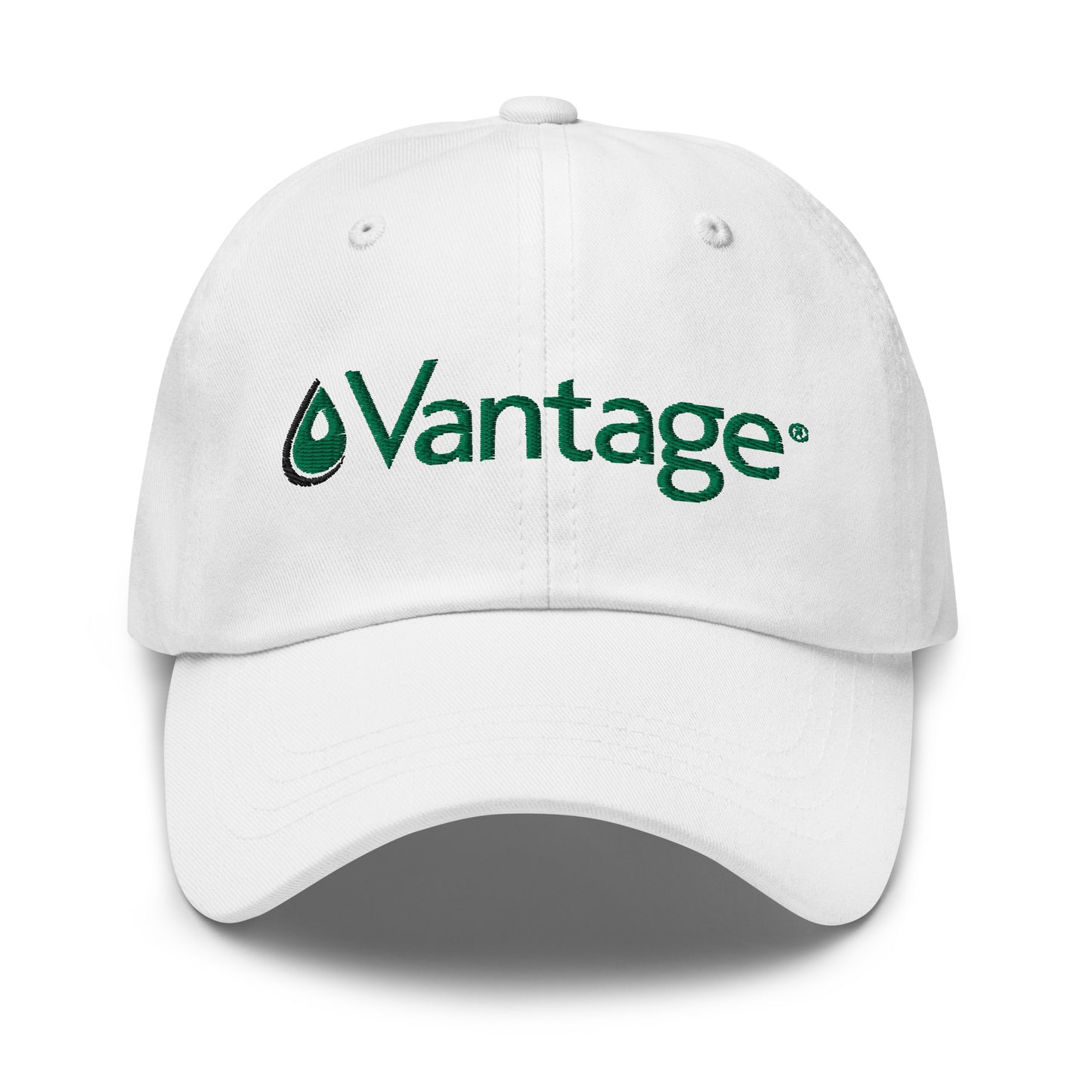 Classic Dad hat - Vantage Store