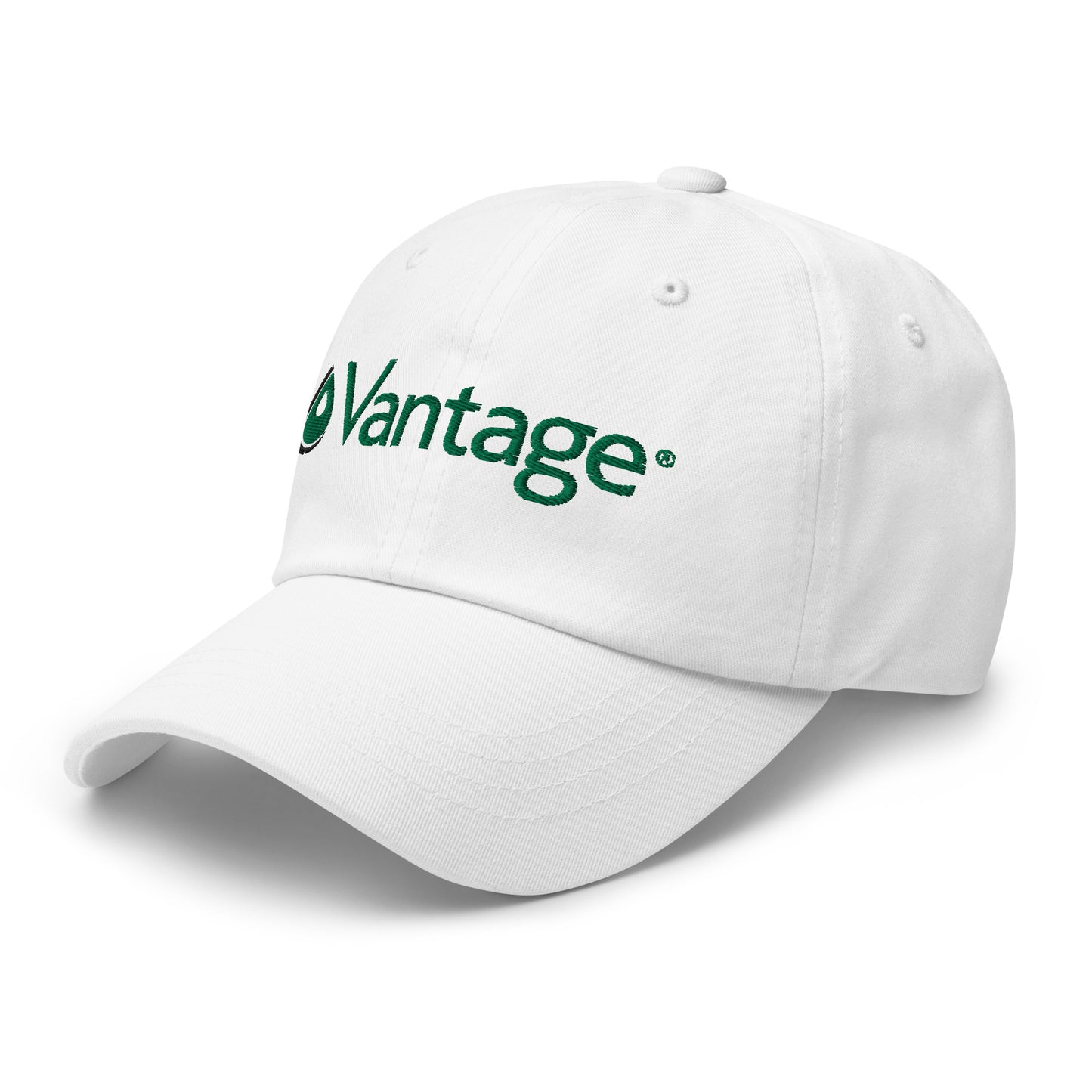 Classic Dad hat - Vantage Store