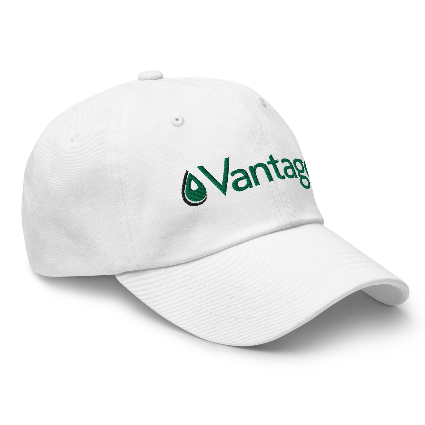 Classic Dad hat - Vantage Store